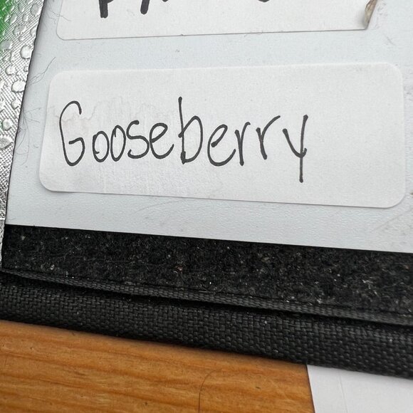 Arcoroc France Wine Glass Ruby Red Clear Stemmed -Great - Picture 10 of 10